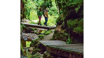 OD-0714-Luxemburg-Mullerthal-Trail-12
