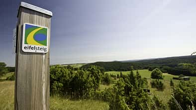 OD-Eifelsteig-Eifelsteig-Sommer2008_dominik_ketz (jpg)