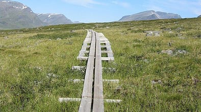 Kungsleden