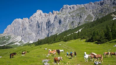 OD 0418 Mittenwald Bayern Törlspitzen
