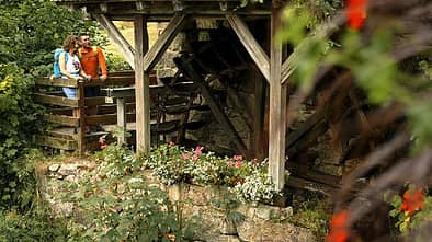 od-0619-schwarzwald-karlsruher-grat-ottenhöfen mühlenweg (jpg)