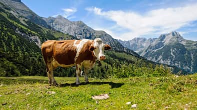 OD 0616 Karwendel Sonnjoch
