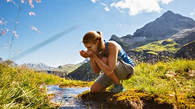 od-0717-vorarlberg-hochkuenzelspitze (jpg)