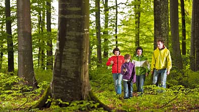 OD Abenteuer Geocaching: GPS-Schatzsuche im Wald