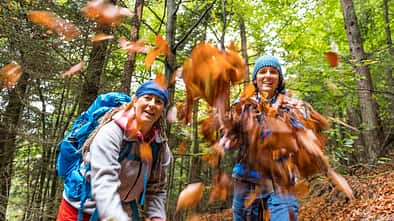 od-1018-pfalz-5 (jpg)