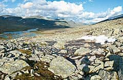 OD Weites Land: Dovrefjell in Norwegen