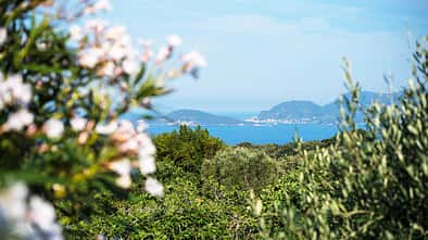 od-2017-ligurien-infoseite (jpg)