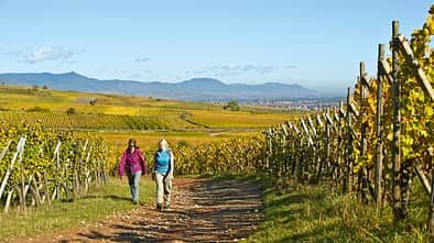 od-2012-elsass-vogesen-frankreich-herbst-(17) (jpg)