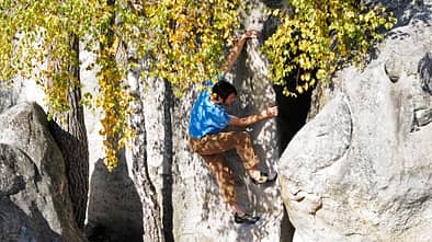 Fontainebleau Bouldern 95.2