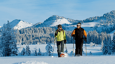 OD-Allgaeu-Tourenbi_BEN3119 (gif)