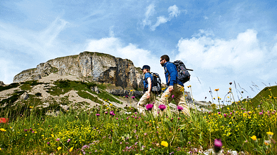 OD_Allg309_BEN3640 Frühling Frühjahr Allgäu Gottesacker (gif)