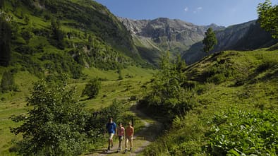 OD_0310_Tannheimer_Tal_05_Baergruendletal (jpg)