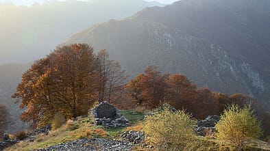 OD Piemont Cima della Laurasca