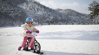 Snow Ski-Set