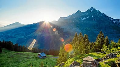 Adelboden: Bergpanorama mit Wald