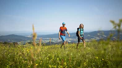 outdoor wandern freiburg wiese 
