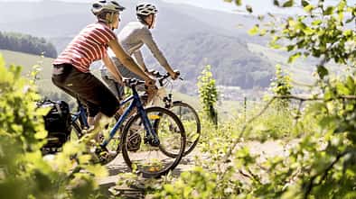 Badischer Weinradweg