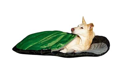 Tested on Tour 09/2021