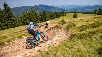 Austria Radspecial: Wienerwald-Trails & Wexl-Trails
