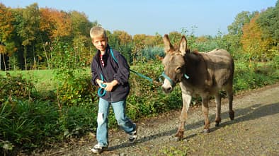GettyImages/frahaus: Junge führt einen Esel