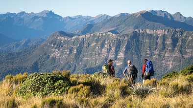 Neuseeland - Great Walks - Paparoa Trek
