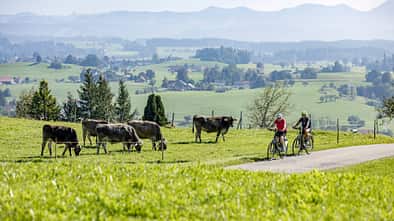 Tourenrad Allgäu