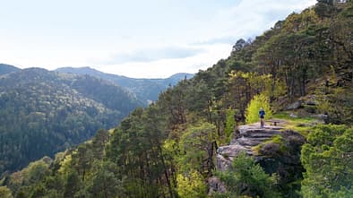 Trekkingtour Pfalz