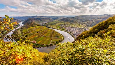 Der Bremmer Calmont - Weinanlage am Moselsteig