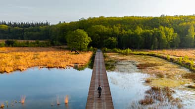 Niederlande Holland Nationalpark Natur Freizeit Urlaub Wandern Drentsche Aa