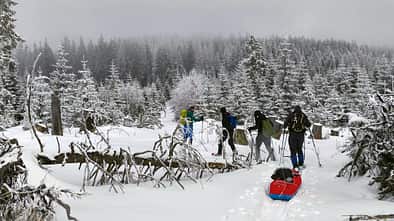 Wintertour im Bayerischen Wald un in Tschechien - Schneeschuhe - Pulka