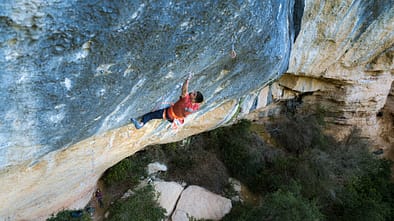 Cafe Colombia / Jorge Díaz-Rullo
