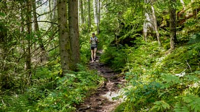 Der Querweg im Schwarzwald