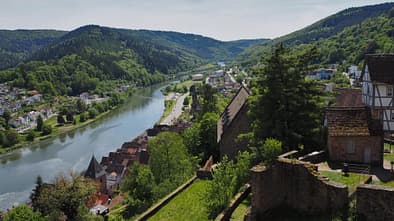 Neckarsteig Weitwanderweg Mehrtagestour Wanderung Mai Baden-Württemberg Hessen Odenwald Neckartal Schloss Hirschhorn Blick auf die Stadt und den Neckar vierte Etappe