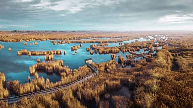 Neusiedler See 