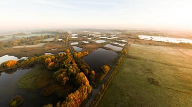 Rieselfelder bei Münster aus der Vogelperspektive
