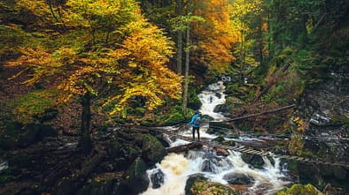 Mittelgebirge Pohorje, Slowenien - Wandern im Herbst