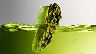 ACG Picklejus