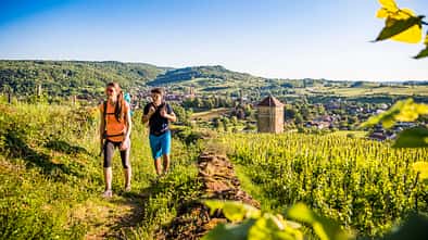 Advertorial Montagnes du Jura Juragebirge Ain Doubs Frankreich Sommer Wandern Radfahren Slow Tourism
Randonnée sur l'Echappée Jurassienne - Arbois