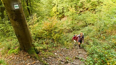 Westerwaldsteig im Herbst
