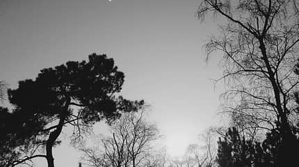kl-bouldern-fontainebleau-sarah-landschaft-bleau_3280 (jpg) kl-bouldern-fontainebleau-sarah-landschaft-bleau_3280 (jpg)