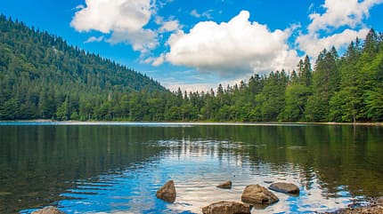 od-2018-deutschland-seen-feldsee-COLOURBOX10508069 (jpg) od-2018-deutschland-seen-feldsee-COLOURBOX10508069 (jpg)