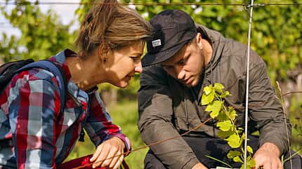 OD 2018 Mythos Bayern Sonderheft Frankenland Winzer 06 OD 2018 Mythos Bayern Sonderheft Frankenland Winzer 06