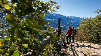 OD 1009 Vinschgau Tour 1 OD 1009 Vinschgau Tour 1