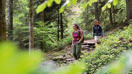 OD-0515-Schwarzwald-Baiersbronn-009 (jpg) OD-0515-Schwarzwald-Baiersbronn-009 (jpg)