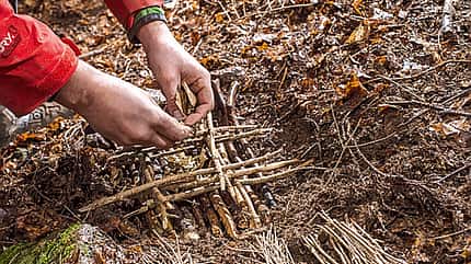 od-0413-survival-feuer-2 (jpg) od-0413-survival-feuer-2 (jpg)