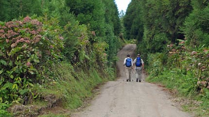 od-philip-duckwitz-azoren-reisebericht-70-WANDERN (jpg) od-philip-duckwitz-azoren-reisebericht-70-WANDERN (jpg)