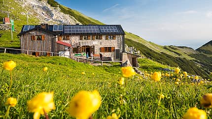 od-0317-estergebirge-6 (jpg) od-0317-estergebirge-6 (jpg)