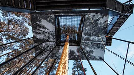 OD-treehotel-schweden-7th-room-2 (jpg) OD-treehotel-schweden-7th-room-2 (jpg)