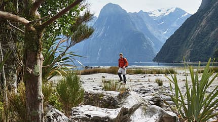 od-1116-neuseeland-milford-sound-9 (jpg) od-1116-neuseeland-milford-sound-9 (jpg)