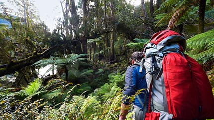 OD-1115-Dusky-Track-3 (jpg)